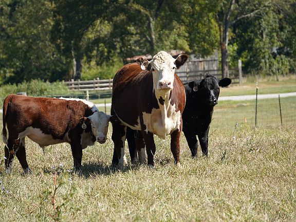 5th image of 1949 Inlow Ave