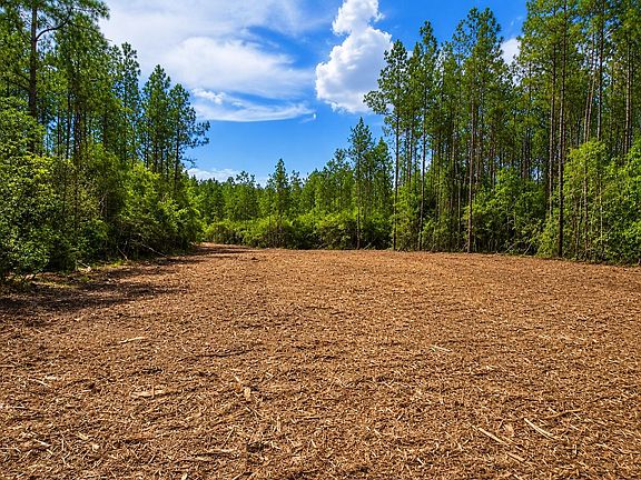 3rd image of 9500 Carter Ranch Rd