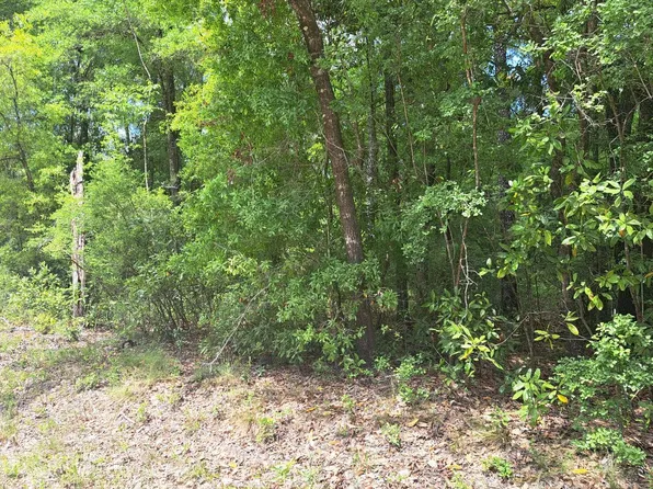 Tbd 286th Ter, Branford, FL 32008
