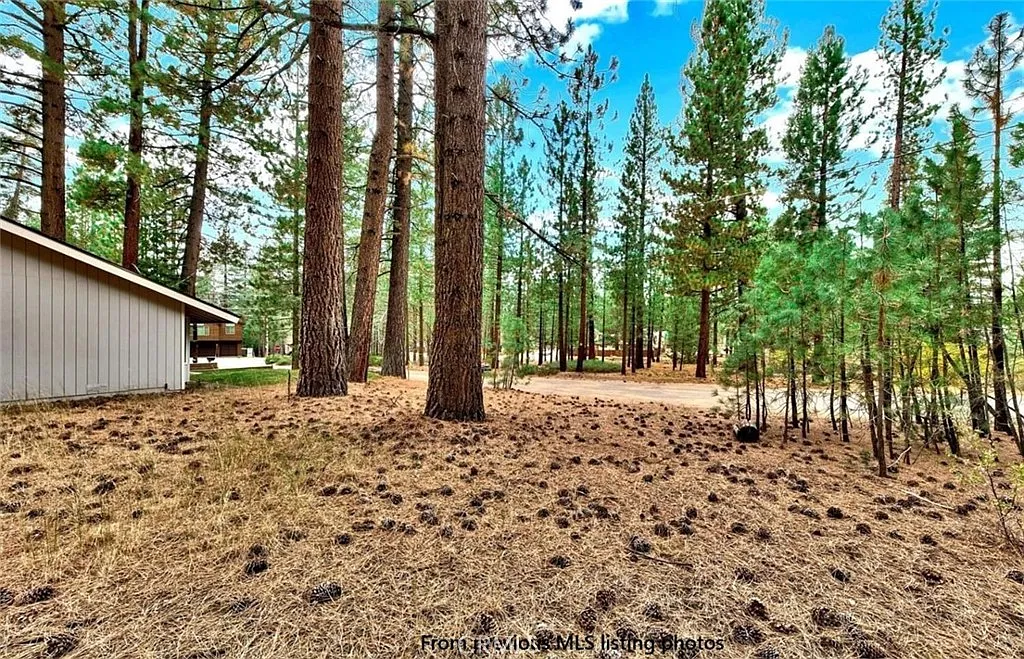 1662 Maiden Hair Ct Lot 45 photo 1