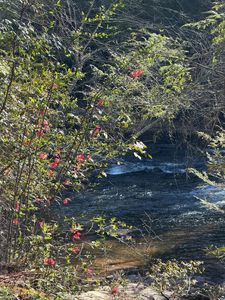 Frogtown Pl, Dahlonega, GA, 30533