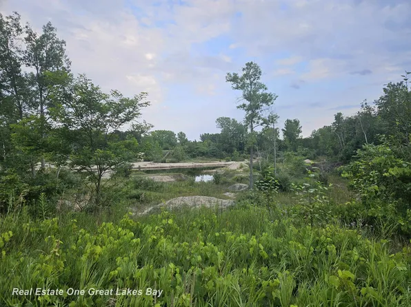 Main St, Greenbush, MI 48738