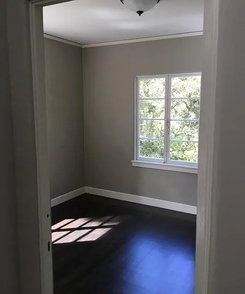 388B Albion Ave — Photo 9