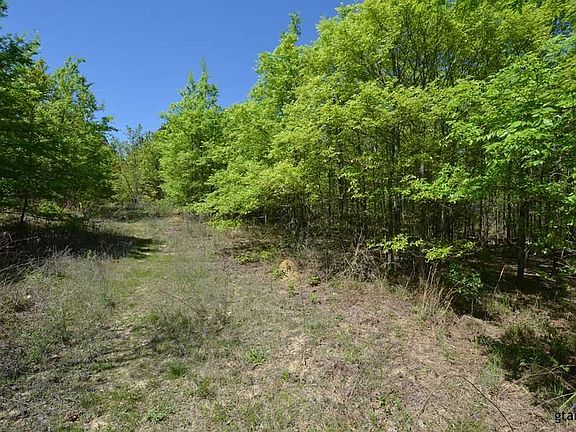 4th image of 19869 County Road 4130