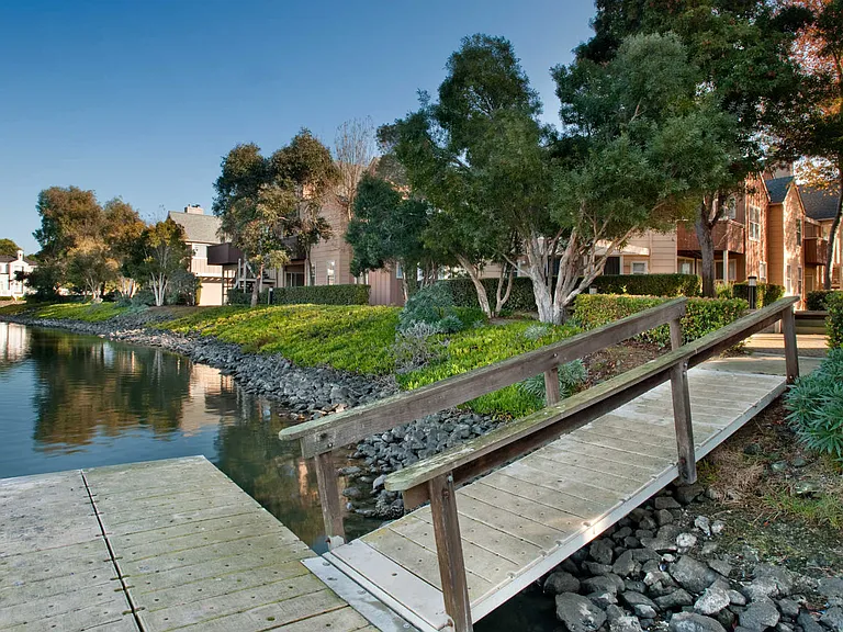 Pond