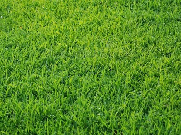 5065 Sydnie Rd NW, Rochester, MN 55901