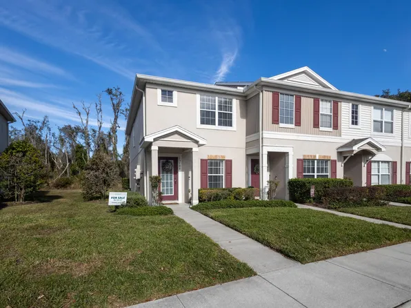 15788 Fishhawk Falls Drive, Lithia, FL 33547