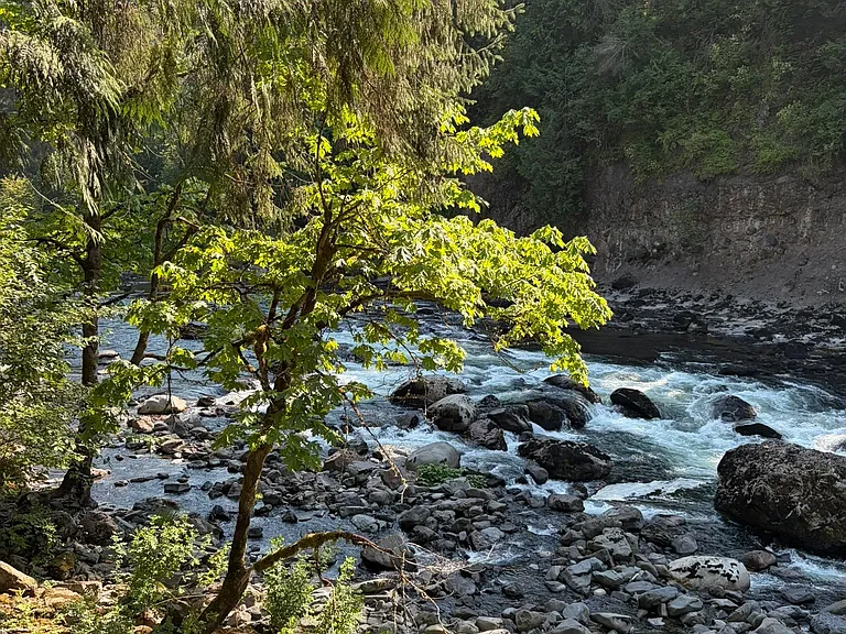 Hike at Snoqualmie Falls