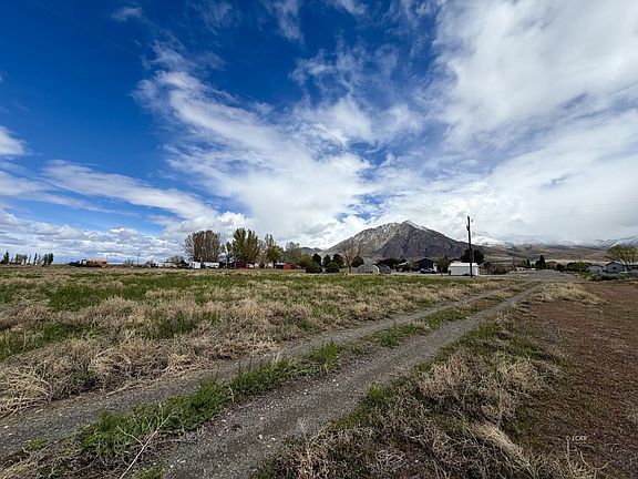 4th image of Sawtooth Way