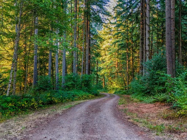 389 Northwest St, Woodland, WA 98674