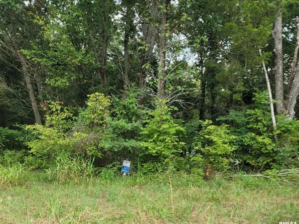 142 & 143 Cherry Point, Goreville, IL 62939