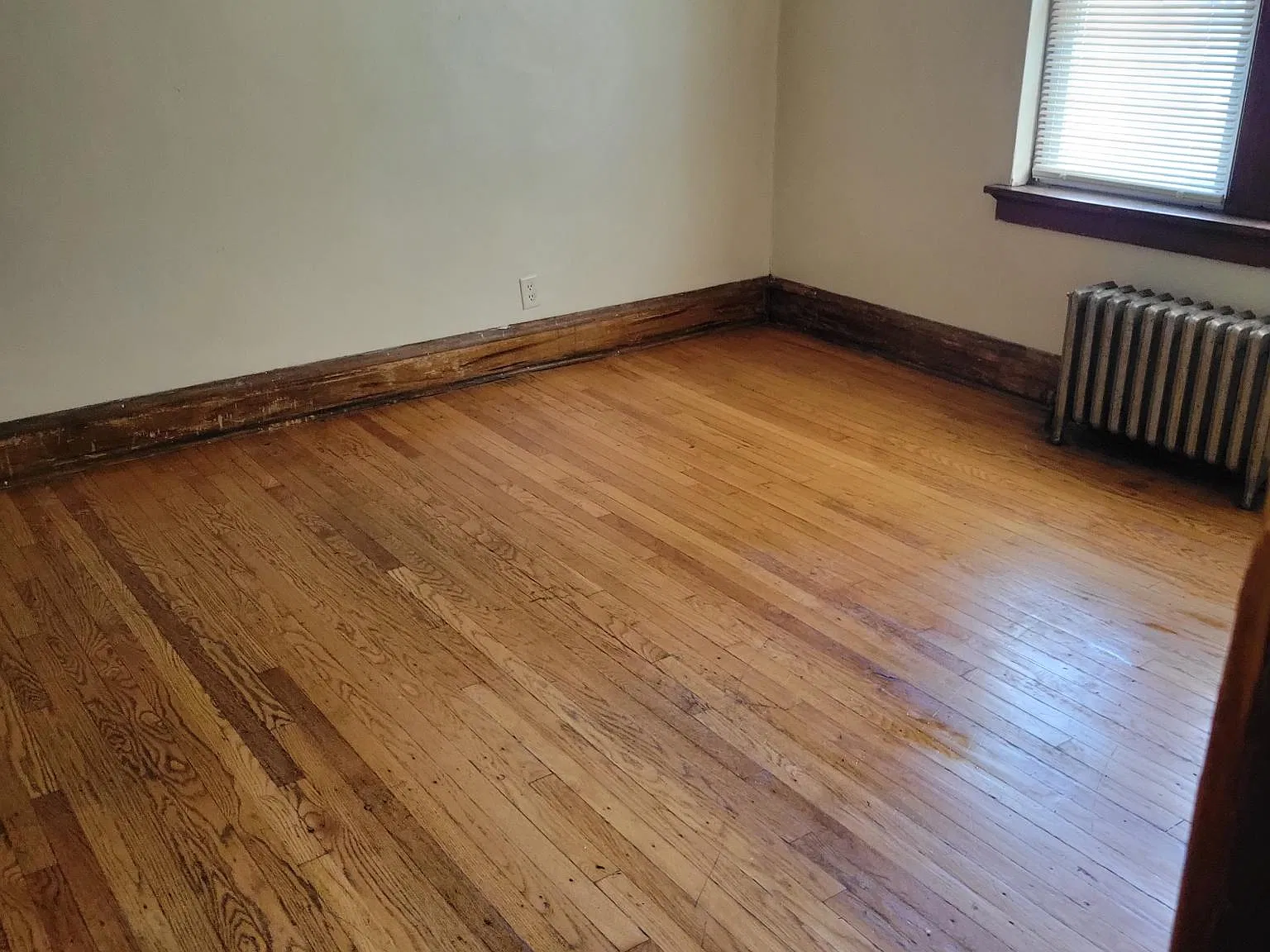 1 bed, $775 — Photo 4