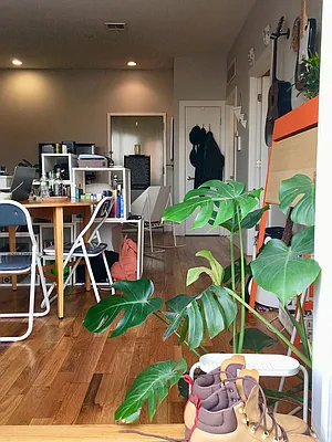 Rented by Manhattan Management LLC | media 55