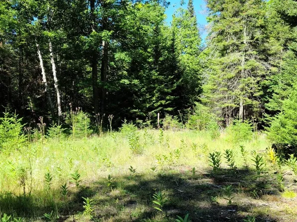 825 Sioux Ave, Pointe Aux Pins, MI 49775