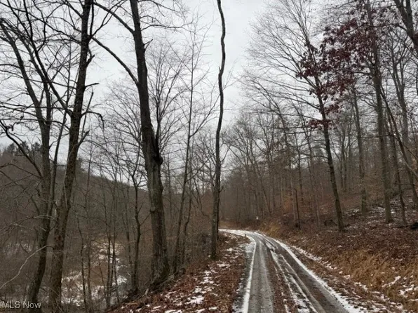 Township Rd, Lewisville, OH 43754