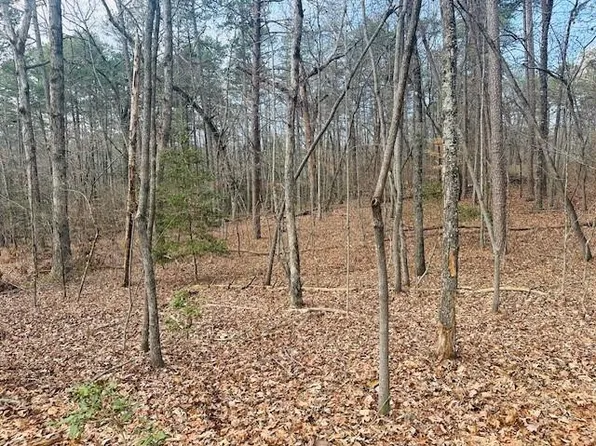 28 Fern Park Dr, Dawsonville, GA 30534