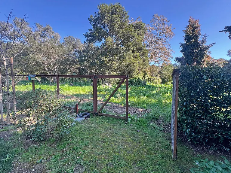 1694 San Leandro Ln — Photo 44