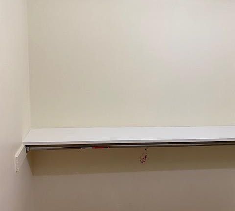 Closet in Master Bedroom