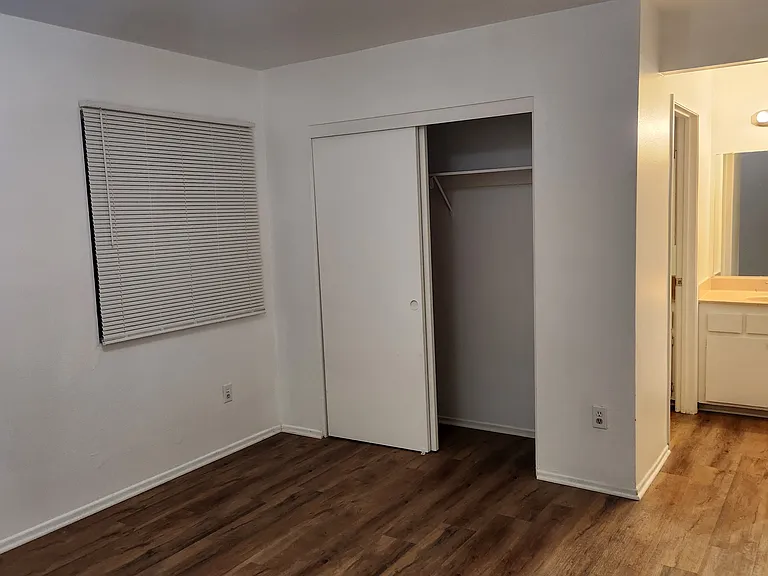 Closet in the Master bedroom and looking back towards the vanity.