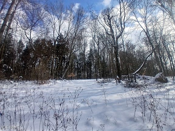 5th image of 35224 Hull Rd