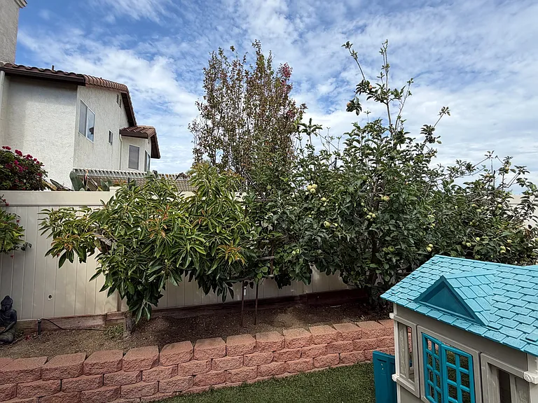 31817 Corte Mendoza — Photo 12