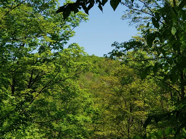 00 Beaver Meadow Road, Roxbury, VT 05669