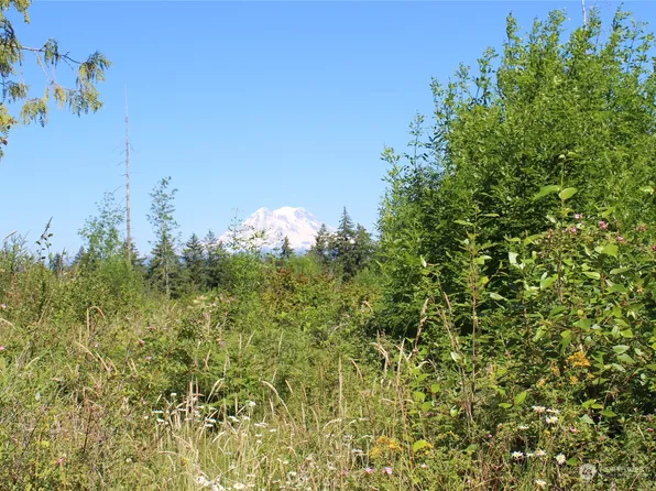 41224 8th Avenue S, Roy, WA 98580