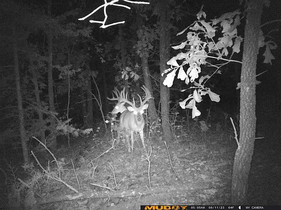 3rd image of 16996 E 524 Road