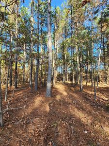 130 Watsons Way, Broken Bow, OK, 74728