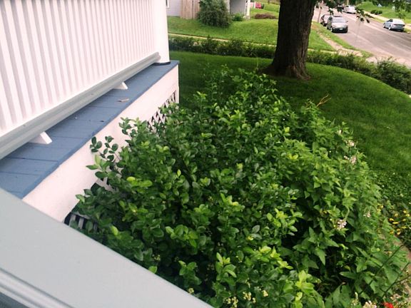 5th image of 805 N 24th St