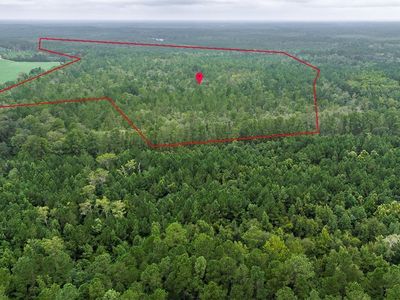 0 Shearwood Road, Guyton, GA, 31312