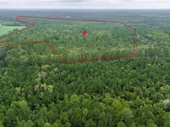 0 Shearwood Road, Guyton, GA 31312
