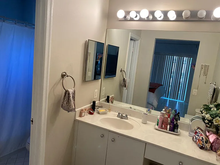 1205 Canary Island Dr — Photo 18
