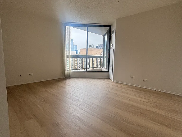 745 N Dearborn St #1003 — Photo 6