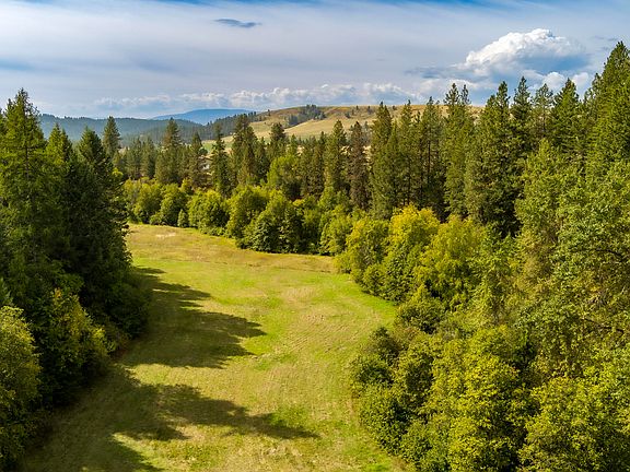 5th image of 1508 Dead Medicine Rd