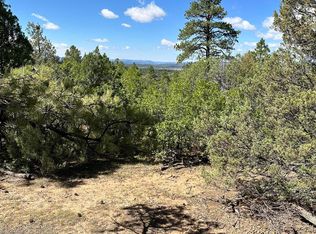 99 Private Drive 1781a, Chama, NM 87520