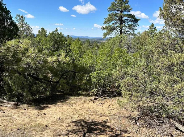 99 Private Drive 1781a, Chama, NM 87520