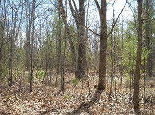 Big Wolf Lake Rd, Lewiston, MI 49756