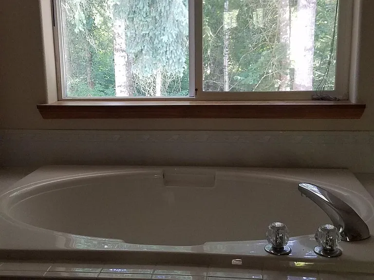 Master tub with greenspace view