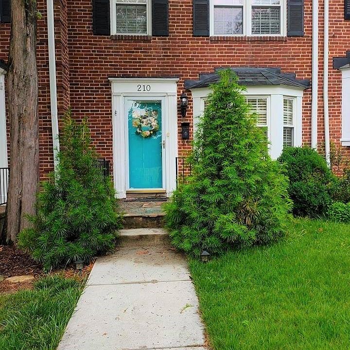 1st image of 210 Stevenson Ln