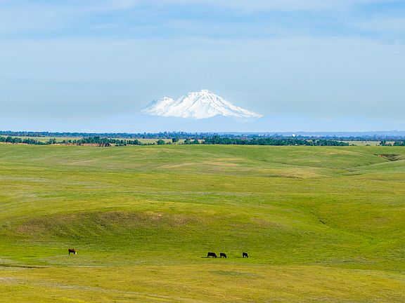 2nd image of Rancho Tehama Rd