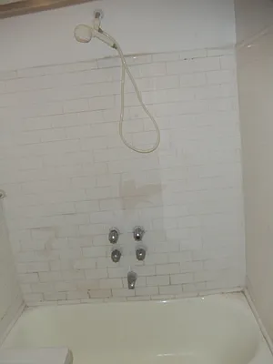 Rented by Realty on the Greene | media 7