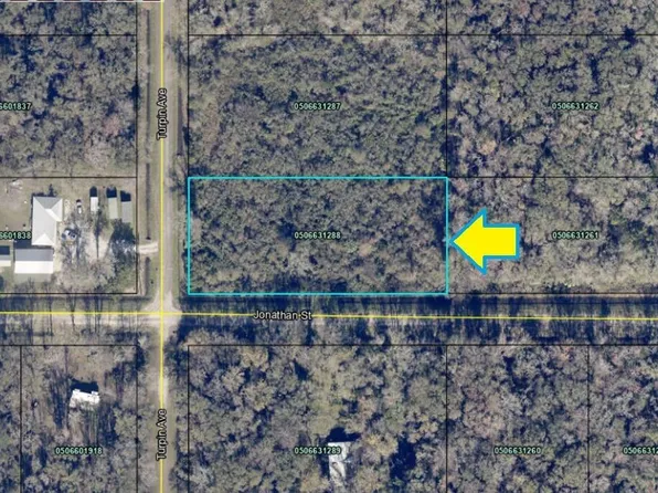 10730 Turpin Ave, Hastings, FL 32145
