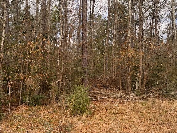 5th image of County Road 434