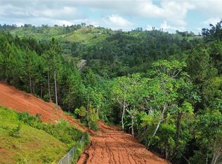 Bo Mana Carr 802 Km #2.5, Corozal, PR 00783