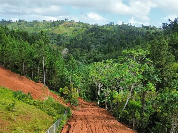 Bo Mana Carr 802 Km #2.5, Corozal, PR 00783