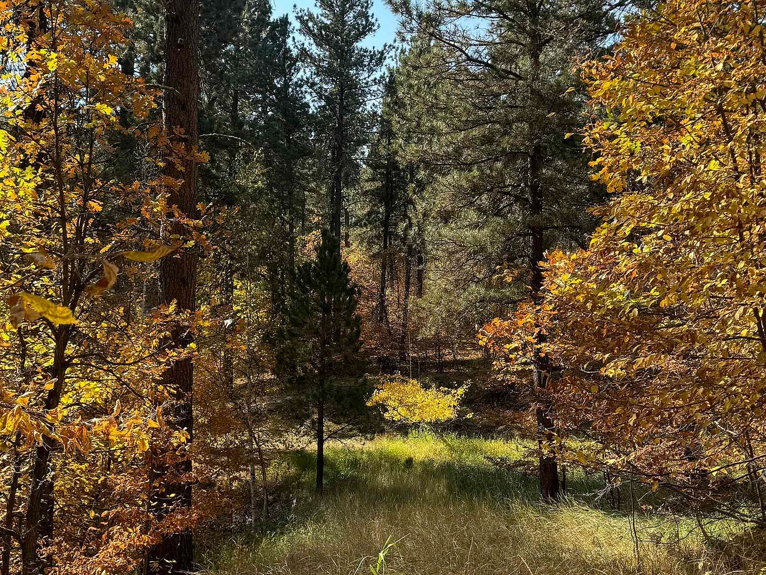 Warren Loop, Sturgis, SD 57785 MLS 171053 Zillow