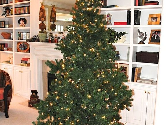 Living room with built in shelves