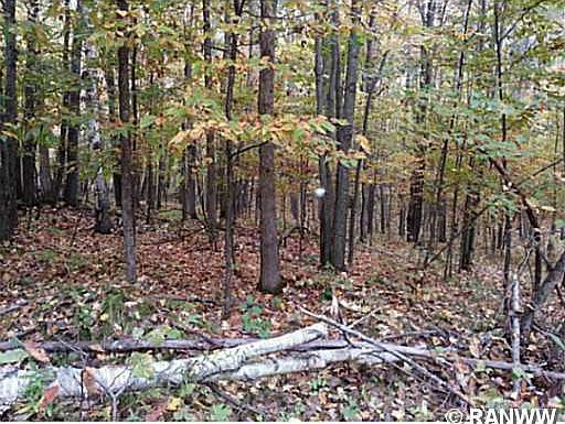 3rd image of Lot 0 Hwy M