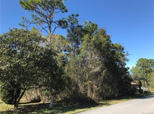 6 Bonnie Ct S, Homosassa, FL 34446